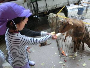 移動動物園